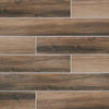 Daltile Saddle Brook Farmhouse SD14 6"x36" Swatch