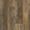 Shaw Pantheon HD Plus Saggio Swatch