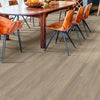 Shaw Infinite Vinyl Plank Loose Lay Salt River