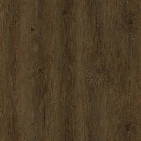 FloorLife Carto Acorn Sample 