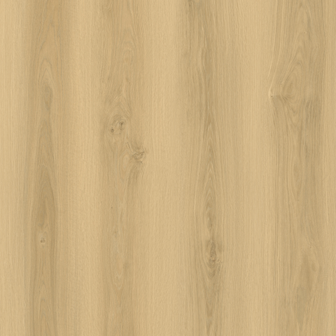 FloorLife Pathfinder Honeycomb Sample