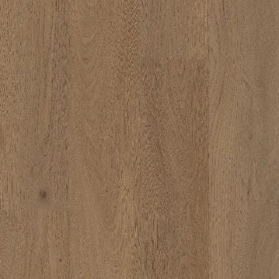 COREtec Pro Plus XL Enhanced San Marino Elm