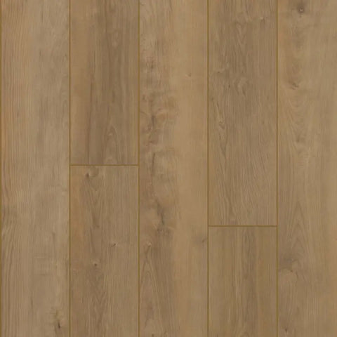 Mannington Adura Apex Mokuzai Sapling Swatch