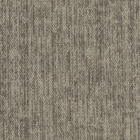 Shaw Carpet Tile Crazy Smart Savvy Swatch