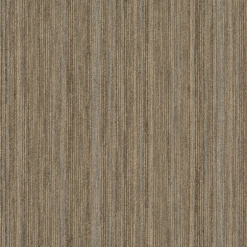Shaw Carpet Tile Praise Scholarly