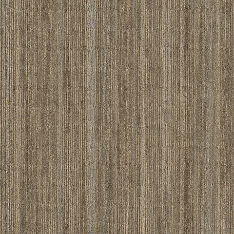 Shaw Carpet Tile Praise Scholarly Swatch
