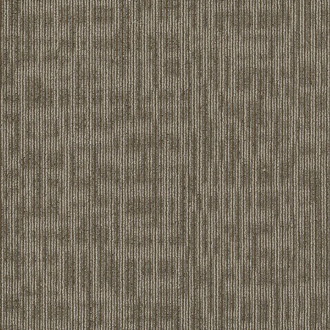 Shaw Carpet Tile Genius Scholarly Swatch