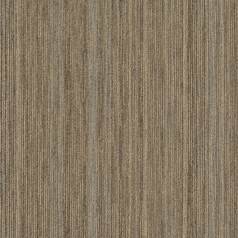 Shaw Carpet Tile Intellect Scholarly