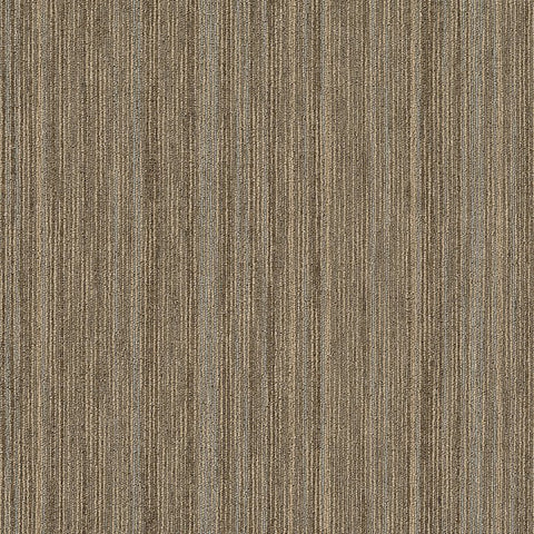 Shaw Carpet Tile Intellect Scholarly Swatch