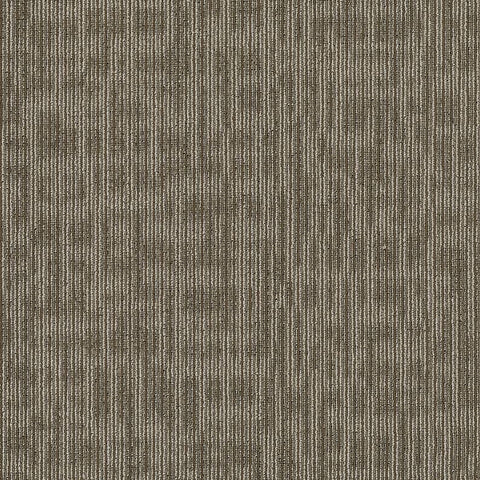 Shaw Carpet Tile Kudos Scholarly Swatch