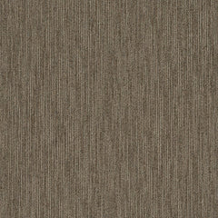 Shaw Carpet Tile Dynamo Scholarly Swatch