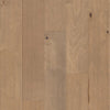 Shaw Biscayne Bay Seagrass Swatch