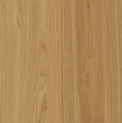 Bjelin Hardened Wood XXL Select Natural Oak Swatch