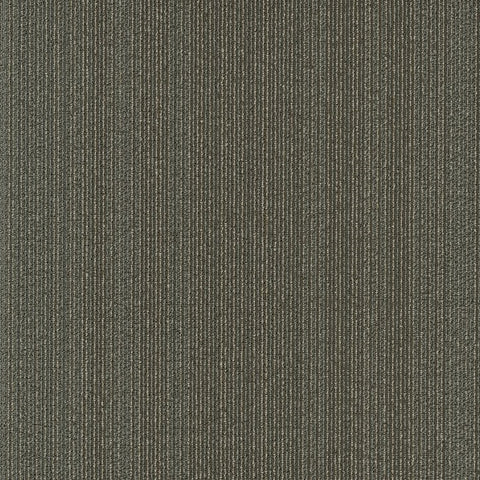 Shaw Carpet Tile Practical Sensible Swatch