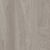 Shaw Floorte Pro Infinite SPC Shadow Swatch