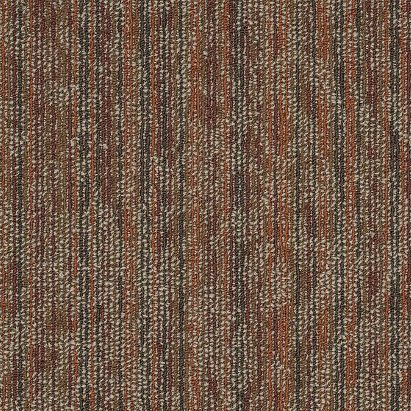 Shaw Carpet Tile Amaze Shock