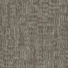 Shaw Carpet Tile Crazy Smart Showy Swatch