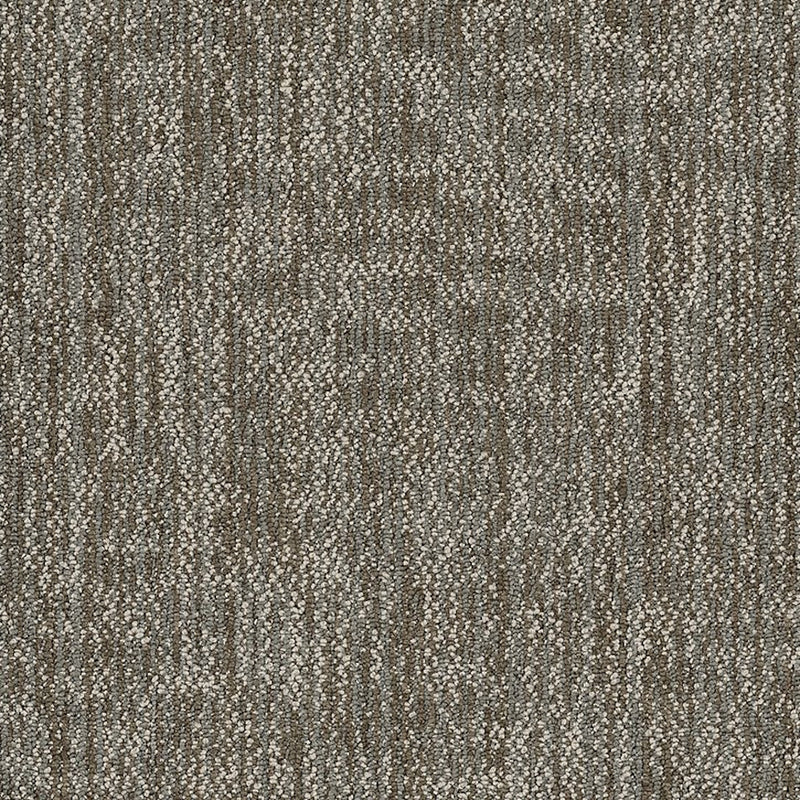 Shaw Carpet Tile Crazy Smart Showy