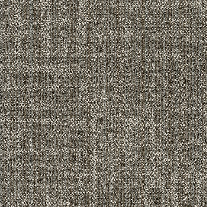 Shaw Carpet Tile Raw Beauty Showy