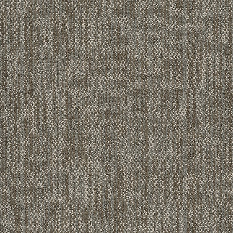 Shaw Carpet Tile Crazy Smart Showy Swatch