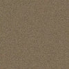 Mohawk Aladdin Carpet Tile Scholarship II Sienna Swatch
