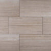 Eramosa Porcelain Tile Collection Silver - 12"x24" Swatch
