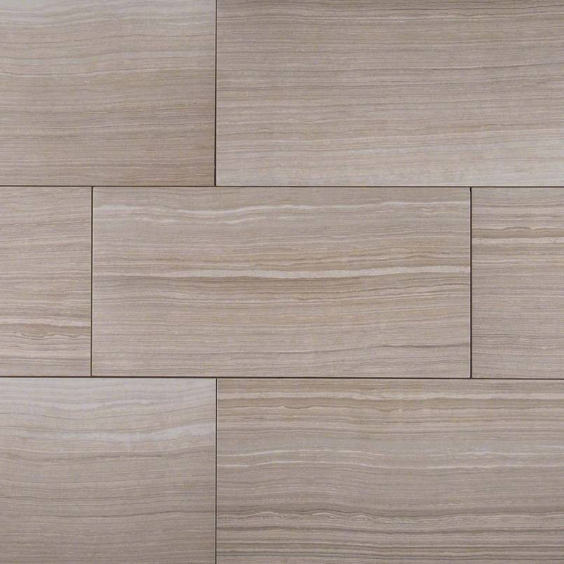 Eramosa Porcelain Tile Collection Silver - 12