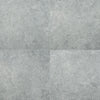 Arterra Porcelain Paver Lunar Silver - 24"x24" Swatch