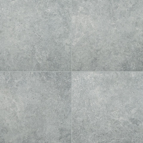 Arterra Porcelain Paver Lunar Silver - 24"x48" Swatch