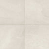 Daltile Slate Attache Meta White SA04 24"x24" Swatch