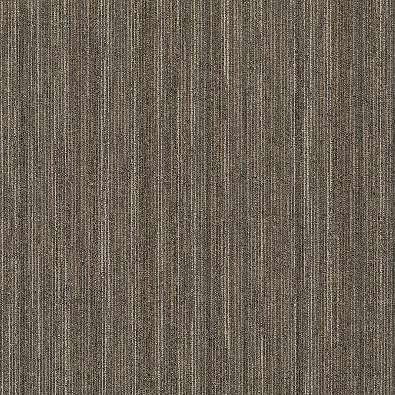 Shaw Carpet Tile Praise Smarts