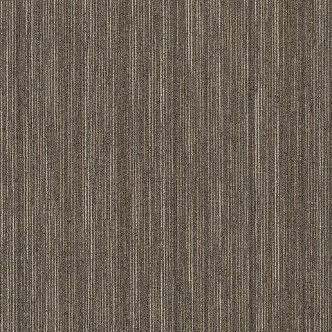 Shaw Carpet Tile Intellect Smarts Swatch
