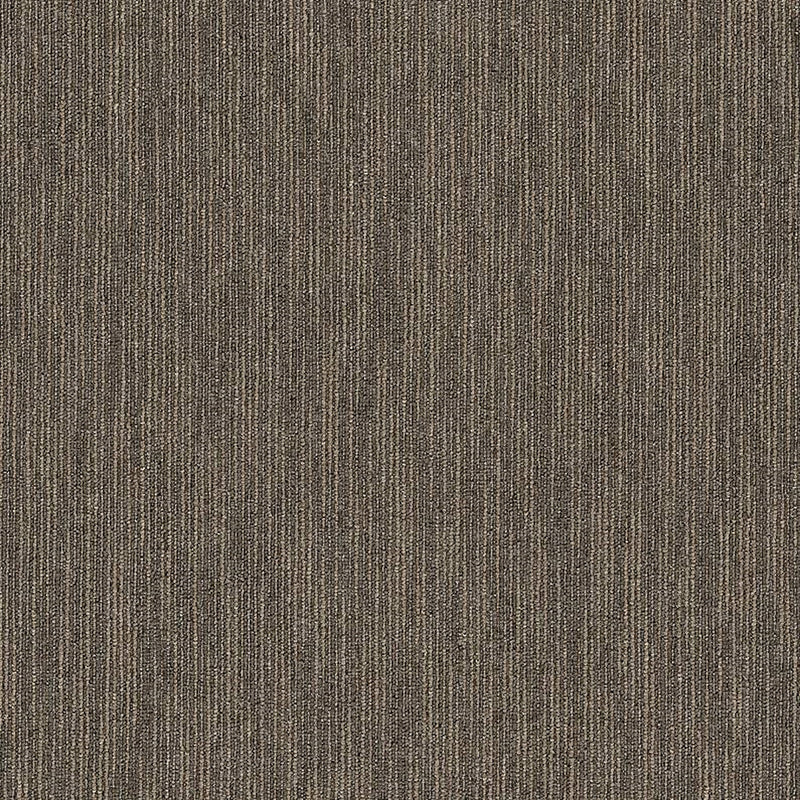 Shaw Carpet Tile Flattery Smarts