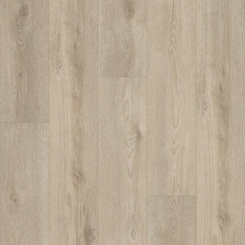 Shaw Paladin Plus Soft Beige