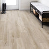Shaw Paladin Plus Soft Beige Room Scene