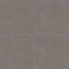 Daltile Astronomy Rectangle 12x24 Solstice