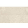 Daltile Chord Rectangle 12x24 Polished Sonata White