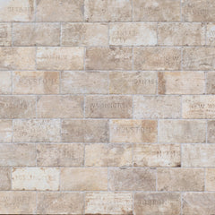 Tile Collection Chicago 4x8 Decorative Tile South Side