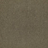Shaw Carpet Tile Counterpart Spitting Image Swatch
