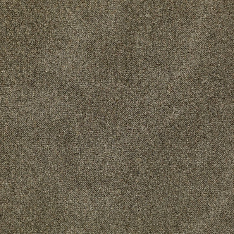 Shaw Carpet Tile Counterpart Spitting Image
