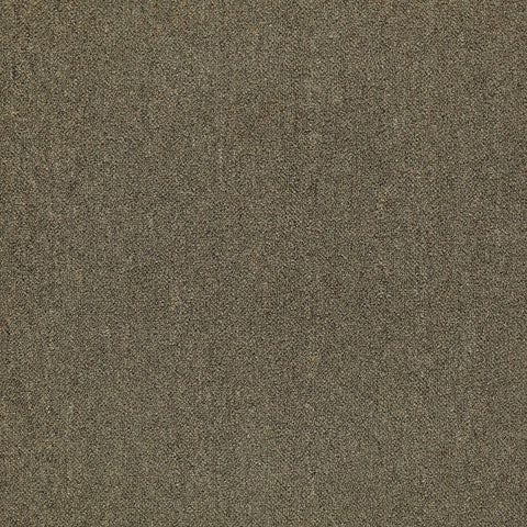 Shaw Carpet Tile Counterpart Spitting Image Swatch