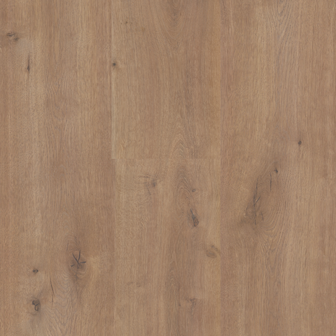 TimbrCORE Laminate Sequoia Spring Lake Swatch