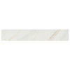 Pietra Porcelain Collection Calcatta - 3"x18" Bullnose Swatch