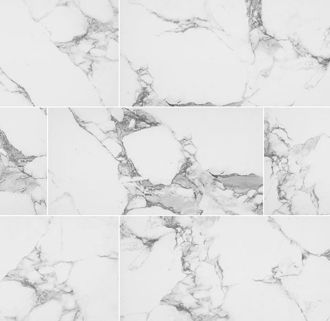 Pietra Porcelain Collection Statuario - 12"x24" Swatch