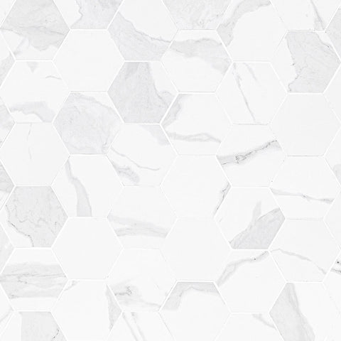 Eden Porcelain Tile Collection Statuary - 3"x3" Hexagon Swatch