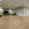 Metroflor Genesis WPC Authentics Sterling Room Scene