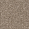 Shaw Carpet Tile Knot It Strand Swatch