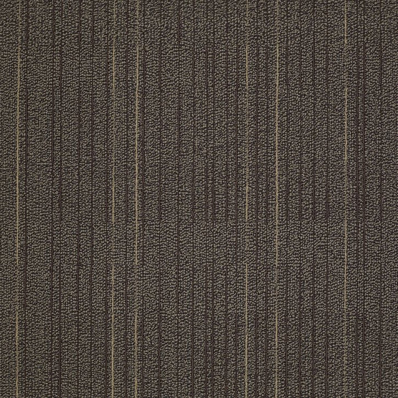 Shaw Carpet Tile Immerse Study
