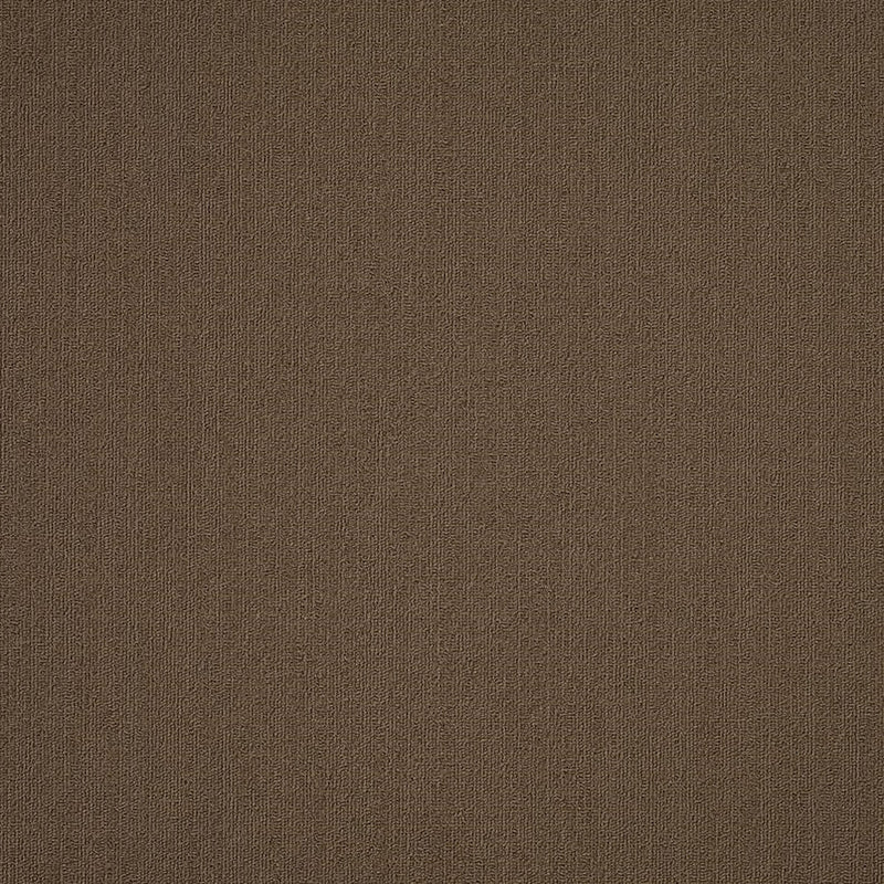Shaw Carpet Tile Color Accents Suede