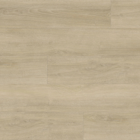 Metroflor Provident Public Sugar Grove Swatch